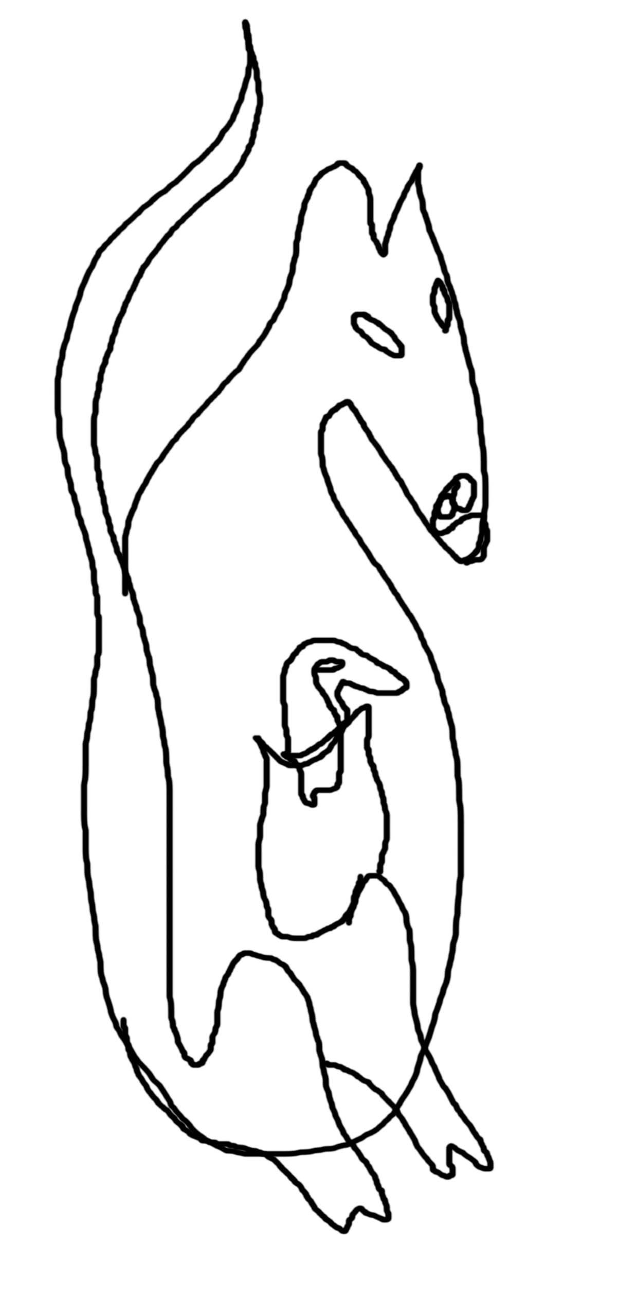 Känguruh