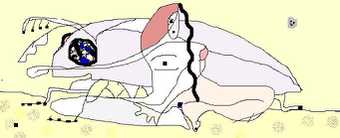 Ich will kein Käfer sein 0